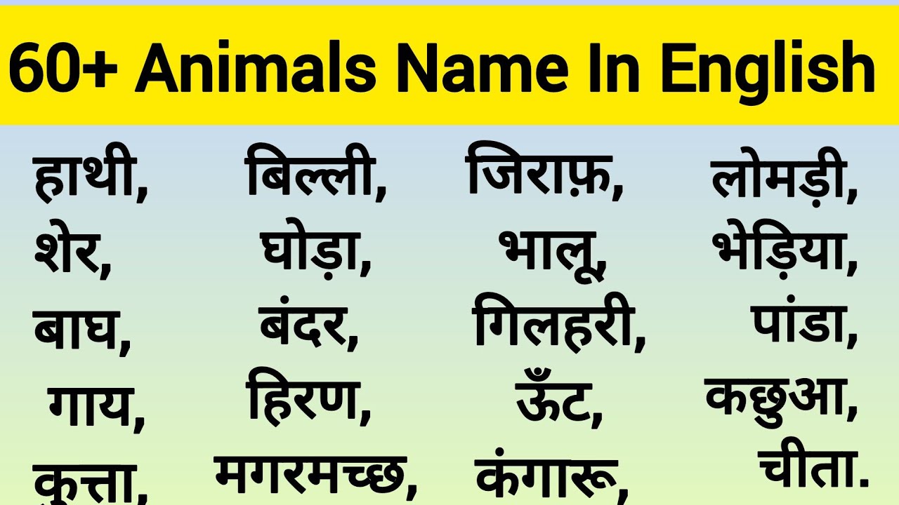 65+ Animals Name l Animals Name in Hindi and English l  Animals Vocabulary l  All Free Learn 