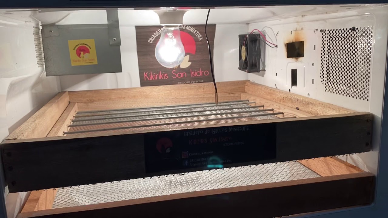 Incubadora casera de un Microondas Fácil y Económico