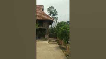 Về thăm nhà sàn của dân tộc Mường, Hòa Bình, Việt Nam