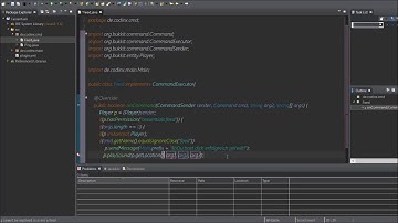 🚋 Essentials - Nach Programmieren #2 👨‍🏫 ( Heal/Feed Command🎉 )
