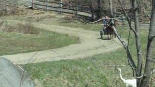 100_0172.mov
