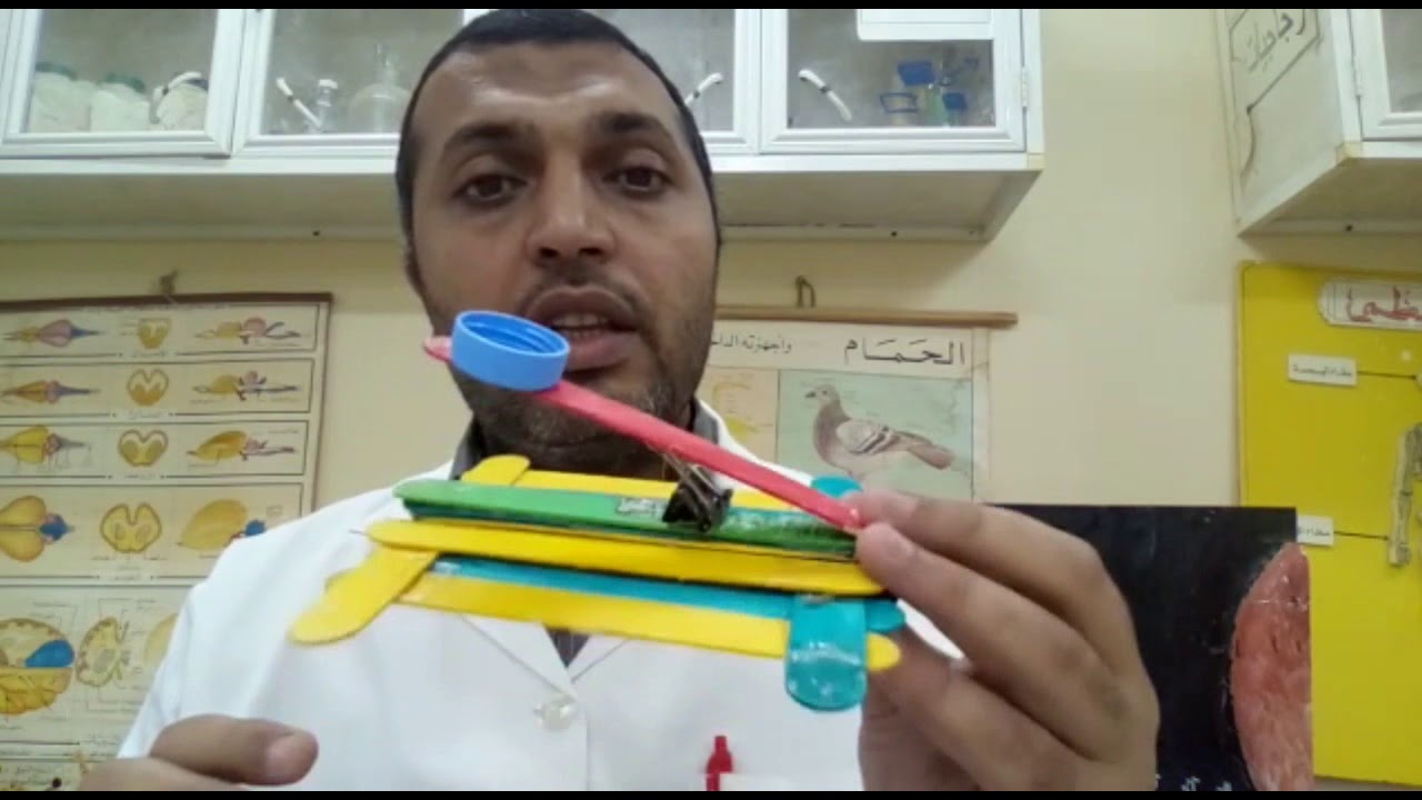 STEM دمج التعليم بالحياة