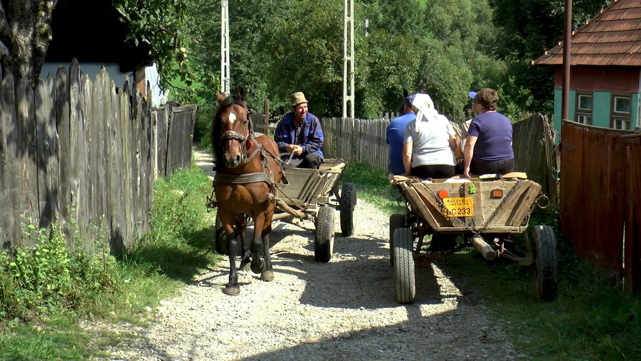 Echtes Leben in einem aserbaidschanischen Dorf! Die besten Videos vom Leben im Dorf im Jahr 2023!