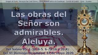 Video thumbnail of "Del Salmo 65, Las obras del Señor son admirables. Aleluya. (Salmo Completo)."