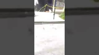 Prodigys Mural Destroyed In Queens