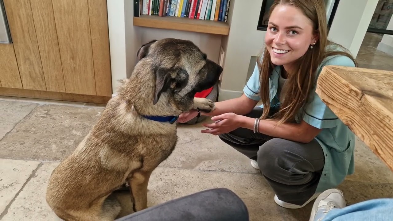 Sphoek Bonnie (bionda)