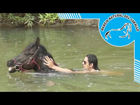 Video: Cuando Los Caballos Se Ahogan: Cómo Tratar A Un Caballo Que Se Ahoga