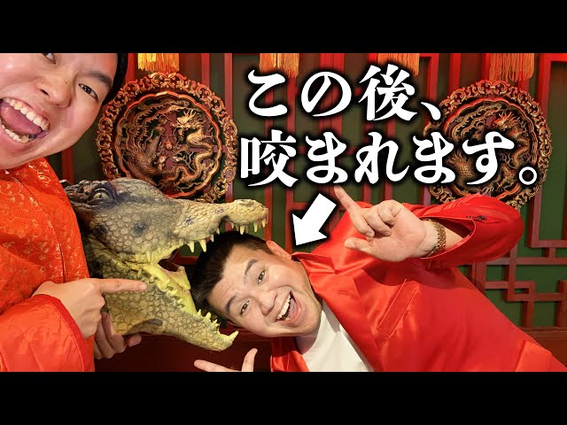 中国の大道芸でワニに頭咬まれる人【ジェラードン】【命懸け】