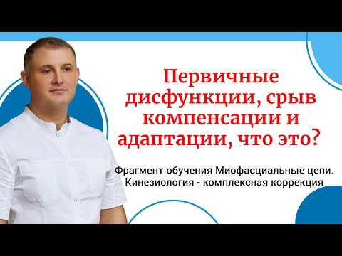 Первичные дисфункции, срыв компенсации и адаптации, что это? Фрагмент обучения