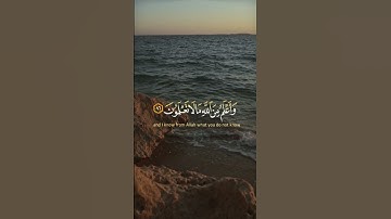 قال إنما أشكو بثي وحزني إلى الله - سورة #يوسف - القارئ الشيخ #محمد_حسين_عامر #رمضان #اليمن #القران
