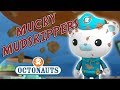 Octonauts - Mucky Mudskippers | Troublesome Creatures