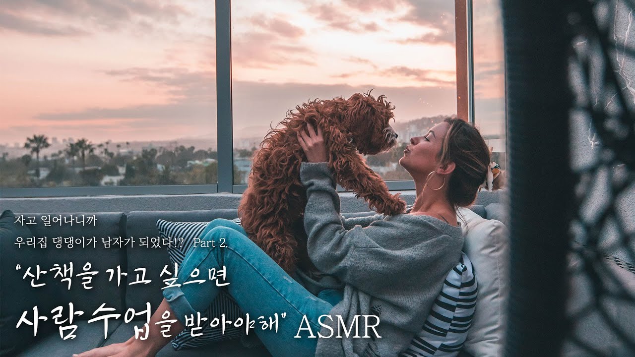 🐶남자가 된 우리집 강아지... 산책가고싶으면 인간수업을 받아야해!🦮 // 