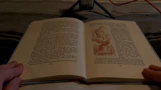 Reading Alice's Adventures in Wonderland, Chapter 4 (asmr)