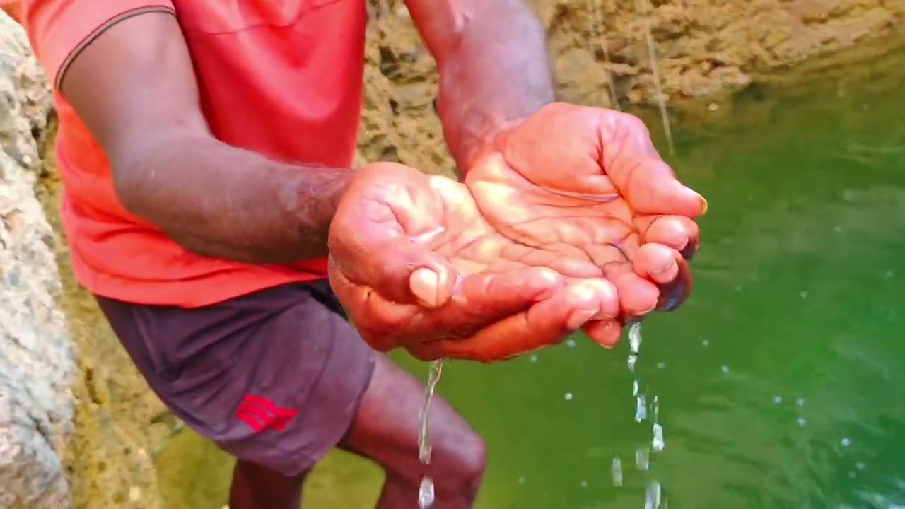 கிராமத்துல ஒரு அழகான வேப்பமரத்து  வீடு 💚💚💚