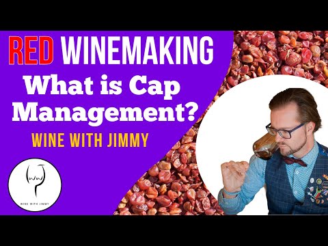 WSET Level 4 (Diploma) Red wine making Introduction to Cap Management