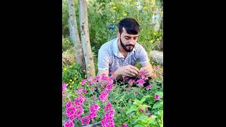 Ferhat Ciziri Derdo Derdo