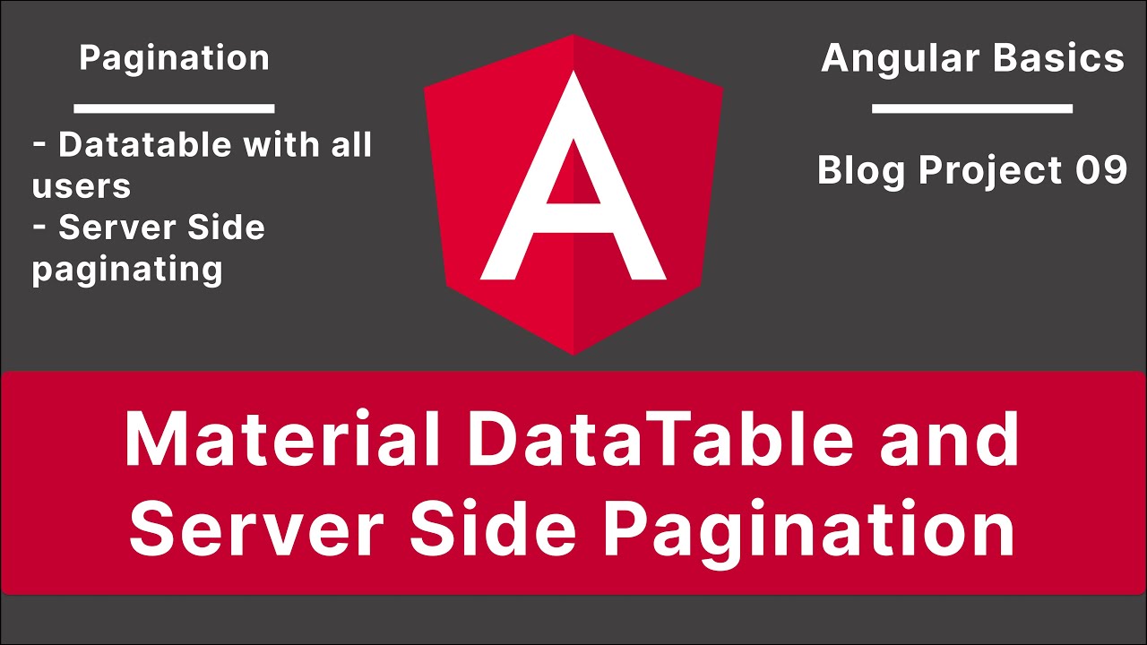 Angular Server Side Pagination