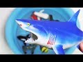 장난감으로 배우는 잼나는 키즈영어/Learn sea animals name with toys for kids/toyya