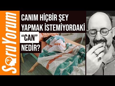 Video: Bitcoin cüzdanından nasıl para çekilir: yollar