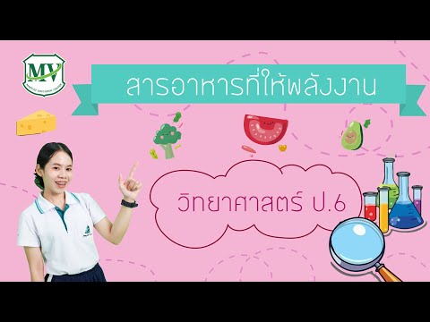 วิทยาศาสตร์ ป.6 | เรื่องสารอาหารที่ให้พลังงาน