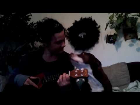 Lazy Butterfly cover (Devendra Banhart)