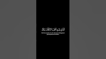 رعد الكردي #سورة الحديد #القرآن الكريم