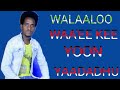 Sanyii Baalcha Waa Ee Kee Yoon Yaadadhu Walaloo Addaa Bara 2021 New Oromo Poem 2021 Sanyii Baalcha Waa Ee Kee Yoon Yaadadhu Walaloo Addaa Bara 2021 New Oromo Poem 2021