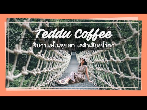 Teddu Coffee Cafe ☕ จิบกาแฟกลางหุบเขา เคล้าเสียงน้ำตก 🌳 เทดดู้ คอฟฟี่ คาเฟ่ แม่กำปอง เชียงใหม่