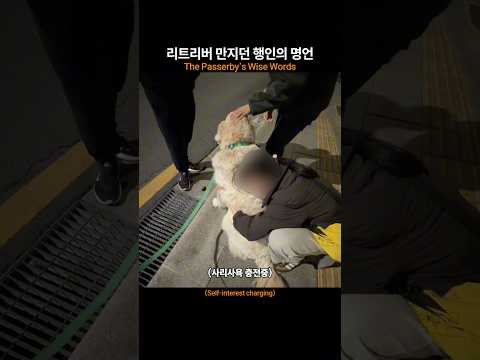 ???: 저도 리트리버 만져봐도 돼요? #retreiver