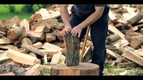 Stochasticity, Radiolab