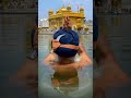 गुरुद्वार साहिब दी सेवा 🙏#wahguru #youtubeshorts #wmk #guruduwarasahibji @VM.creation16