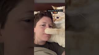 Ok maybe cats are okey ! Subscribe for more amazing videos