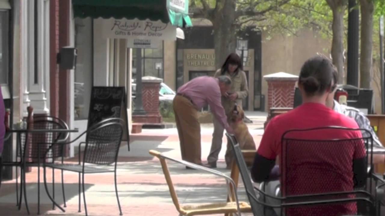 Dog Training, Masen, Golden Retriever, Day 12: City Manners, Off-Leash Park puppy paradise