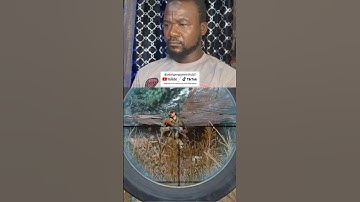 🎯 One of the Best Missions EVER! | All Ghillied Up – COD 4 Modern Warfare Remastered