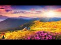 30 Minute Deep Sleep Music, Meditation, Calm Music, Sleep Therapy, Relax, Study, Spa, Sleep, ☯3538B