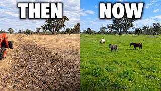 We Bought a Farm in a Drought… 2 Years Later