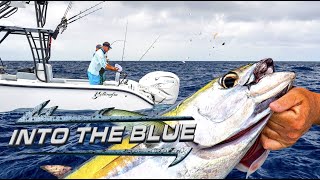The TUNA Difference | Into The Blue