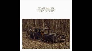 Noah Kahan - Stick Season Nickmusic Super Clean Edit
