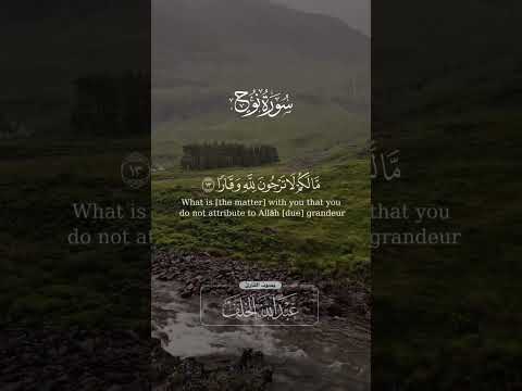 فقلت استغفروا ربكم إنه كان غفارا عبدالله الخلف
