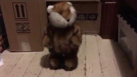 2000 Gemmy caddyshack gopher! I’m alright!