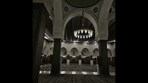 سورة النساء | د. أحمد بن صابر الغامدي | مسجد قباء | صلاة الفجر ٢٩ جمادى الآخرة ١٤٤٧هـ