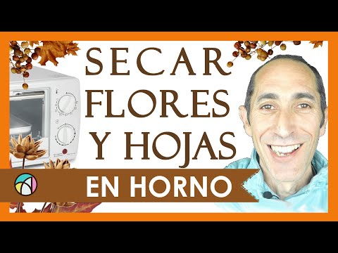 🌺 SECAR FLORES EN HORNO 🔥 (No microondas)