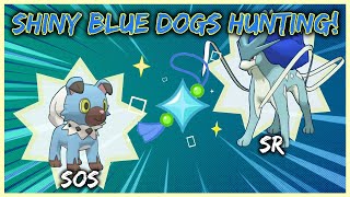 Which Blue Will Appear First?! Double Dogs Shiny Hunting! | Pokemon Sun and Alpha Sapphire