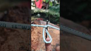 strong, safe and essential knot that is very useful in life