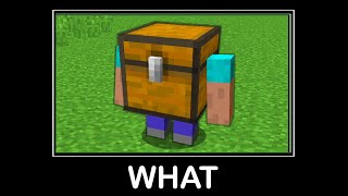 Details WAIT WHAT (Minecraft) #63 News