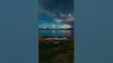 #القارئ_محمد_خالد #قران_كريم #fortnite #foryou #quran #fyp #islam #funny #اسيوط 🤍🎧