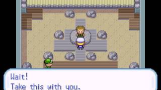 Pokemon - Touhou Merry