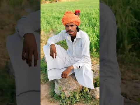 भगवान कुत्ते बिल्ली में क्या