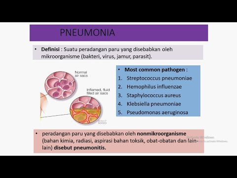 Penyakit Pneumonia (Pneumonia Disease)