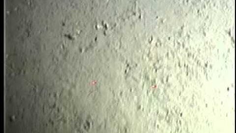 C0212SC_Tape12o.noaudio.mpg